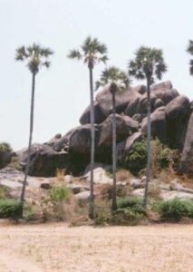 தொண்டூர்
